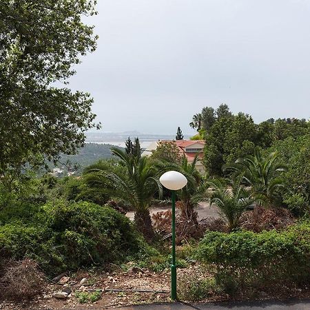 Nir Etzion Resort Ein Hod Bagian luar foto